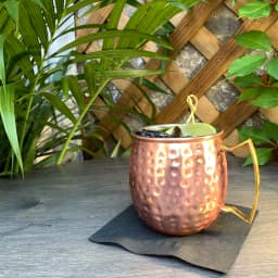 Moscow / Kentucky Mule